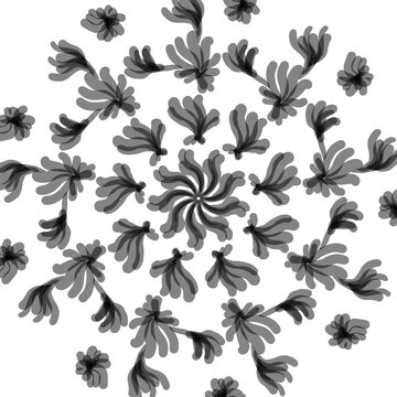 Set of flower and isolated on white background