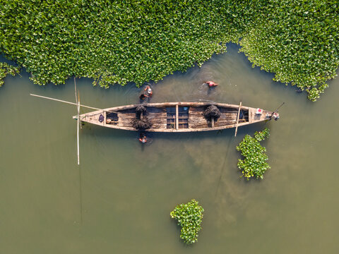 Aerial view of Kalirajut with a traditional wooden boat floating on a river filled with water hyacinths and fishermen working in the water in Patikraja, Central Java, Indonesia.