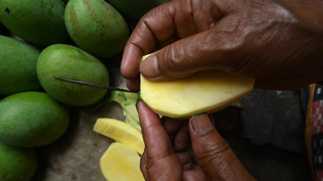 Raw mango pickle made with sugarcane molasses in a pot on a wood-burning mud stove in West Bengal, making raw mango pickle (Kacha Amer Achar) is a cultural ritual that signals. Sweet & Sour Raw Mango 