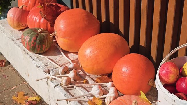 selection of large orange pumpkins and various gourds arranged on a porch. Apples and garlic are also visible, surrounded by fallen leaves, indicating the autumn season