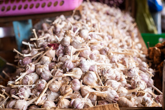 garlic bulbs at market, pile of raw whole white garlic