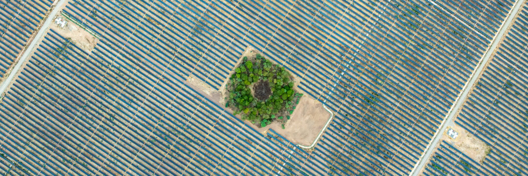 Aerial view of a large solar photovoltaic park featuring rows of solar panels surrounding a central patch of green trees and vegetation in Guaduas, Cundinamarca, Colombia.