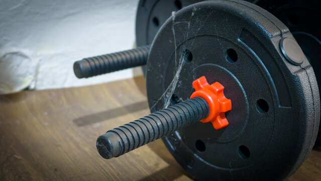 Adjustable dumbbell handle with weight plates: A close-up shot of an adjustable dumbbell handle with a spiderweb clinging to it.