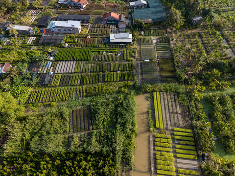 Aerial view of Sa Dec flower village featuring organized rows of plants, greenhouses, and irrigation canals in the Mekong Delta region of Sa Dec, Dong Thap, Vietnam.