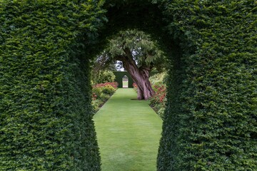 Fototapeta premium The Garden Archway Framed by Pruned Hedges and Lush Lawn