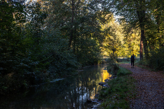 Peaceful forest trail with person walking near river, Germany, Bavaria, Augsburg, 6 October 2026
