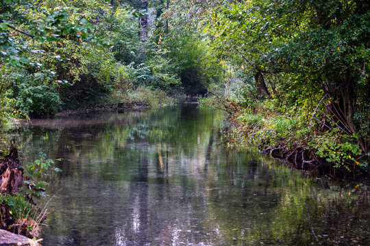 Calm forest river with green foliage, Germany, Bavaria, Augsburg, 5 October 2026