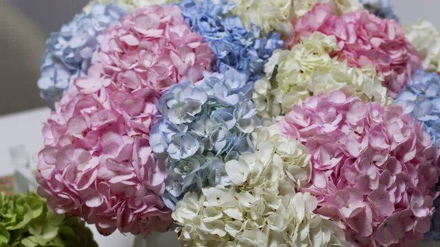 A bouquet of hydrangeas in a vase.
Multicolor hydrangeas in the interior.