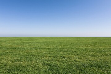 Naklejka premium The Expansive Grass Field Under a Clear Blue Sky on the Horizon