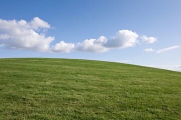 Naklejka premium The Hill in a Vast Green Field Under a Blue Sky