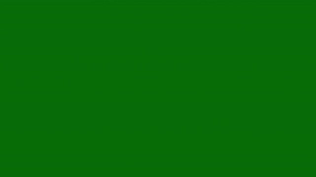Luxury white glitter sparkle animation, glowing fairy dust sparkle particles, shimmering stars line path on green background, star sparkle vector doodles, magic sparkling bokeh effect, 4k animation