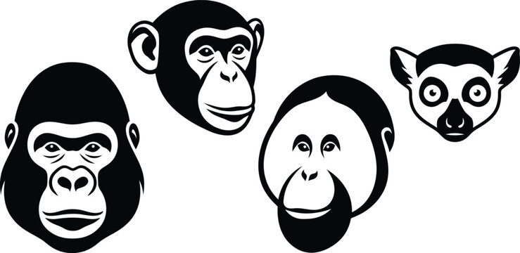 Primate heads vector graphic featuring gorilla, chimpanzee, orangutan, and lemur silhouettes for wildlife designs
