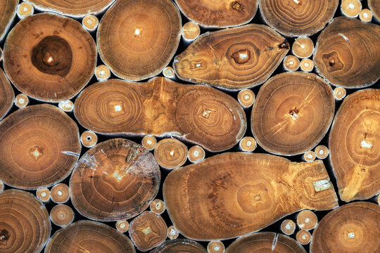 Abstract background featuring tightly packed cross sections of wooden logs in various sizes. Natural growth rings and organic textures. Decorative wall made of round timber slices with annual rings.