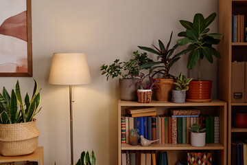 Fototapeta premium Potted houseplants and books standing on wooden shelves near floor lamp indoors. Image suitable for interior design marketing, wellness concepts, home gardening promotions