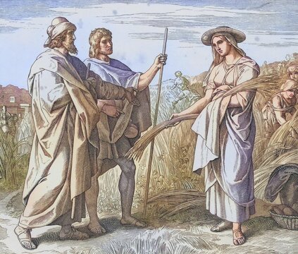 Biblical story, Ruth cleaning in the field of Boaz, a Judean landowner from Bethlehem, digitally enhanced reproduction of a wood engraving by Julius Schnorr von Carolsfeld, historical, around 1860, exact date unknown