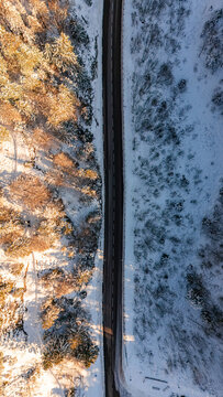Aerial view of the road at Col de la Faucille cutting through a dense snow-covered forest with golden sunlight on one side and deep shadows on the other in Gex, Auvergne-Rhone-Alpes, France.