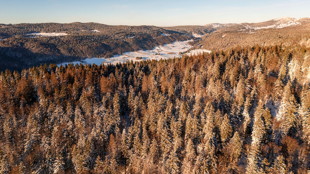 Aerial view of the snow-covered Col de la Faucille, featuring dense evergreen forests dusted with snow under golden hour light in the Jura mountains, Gex, Auvergne-Rhone-Alpes, France.