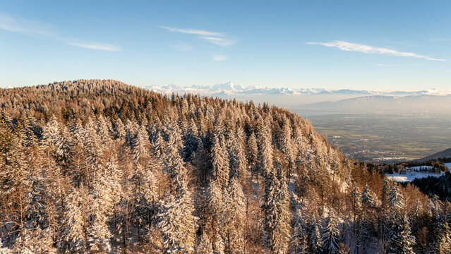 Aerial view of Col de la Faucille featuring snow-covered pine forests on a mountain slope during golden hour with distant peaks, Gex, Auvergne-Rhone-Alpes, France.