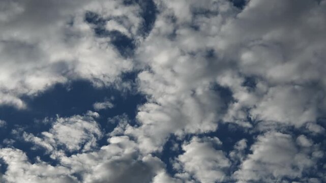 Time lapse looking up at puffy white summer clouds moving through a blue sky
