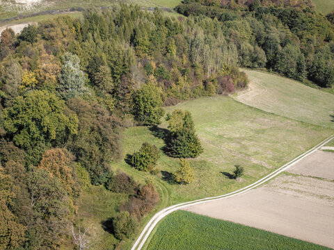 Aerial view of a lush forest with autumn foliage bordering agricultural fields and a winding dirt path in the countryside of Lesser Poland Voivode, Poland.