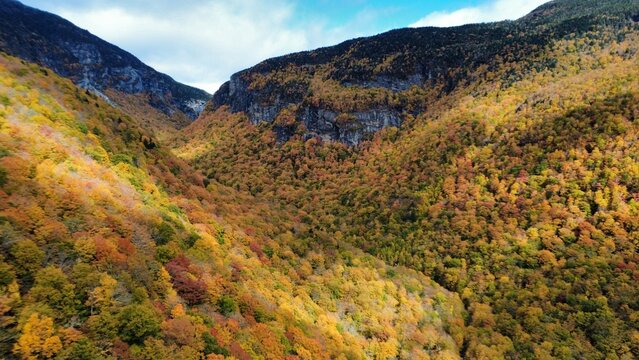 Beautiful Fall Foliage Colors in the Mountains