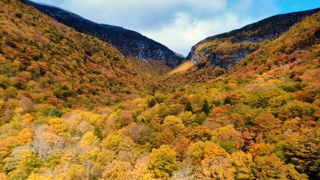 Beautiful Fall Foliage Colors in the Mountains