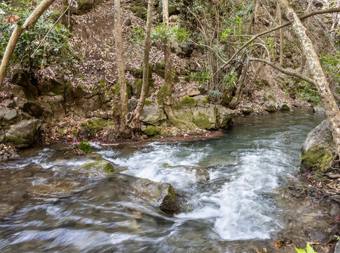 Extraordinary  beauty the מumerous rapids on cold fast flowing mountain Hermon river in northern Israel