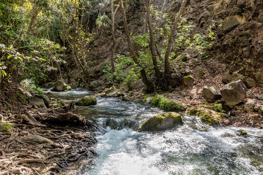Unsurpassed  beauty מumerous rapids on cold fast flowing mountain Hermon river in the northern Israel