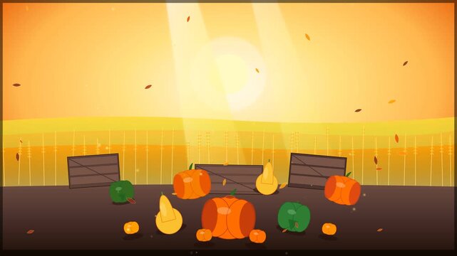 Autumn harvest animation of ripe pumpkins and squash popping up by wooden crates in golden wheat field at sunset with sun rays and falling leaves for Thanksgiving farm agricultural concept