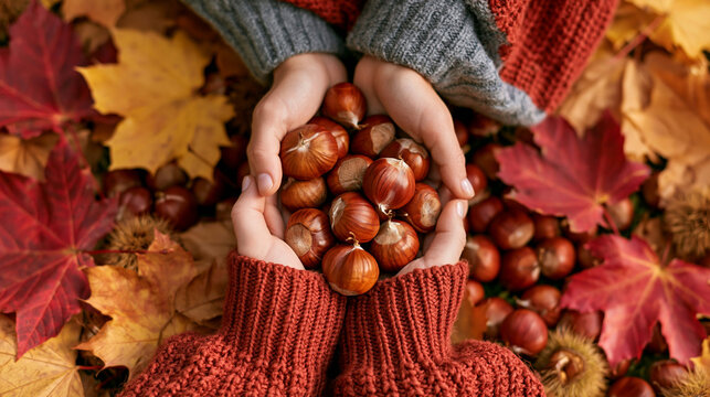 a persons hands holding a handful of chestnuts against a backdrop of autumn leaves in red, orange, and yellow hues. The person wears a textured gray sweater and a pair of red knitted mittens.
