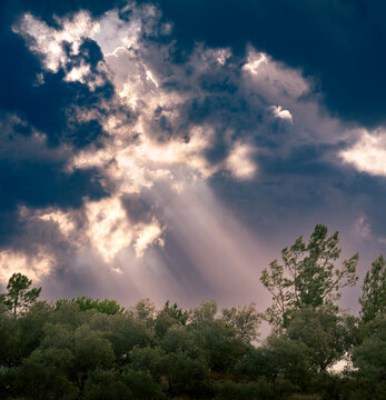 Raios de sol 