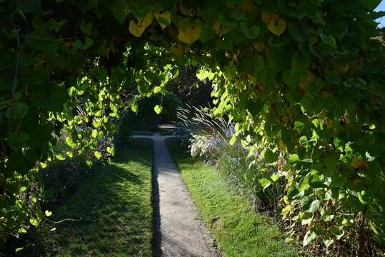 Sous la pergola au jardin