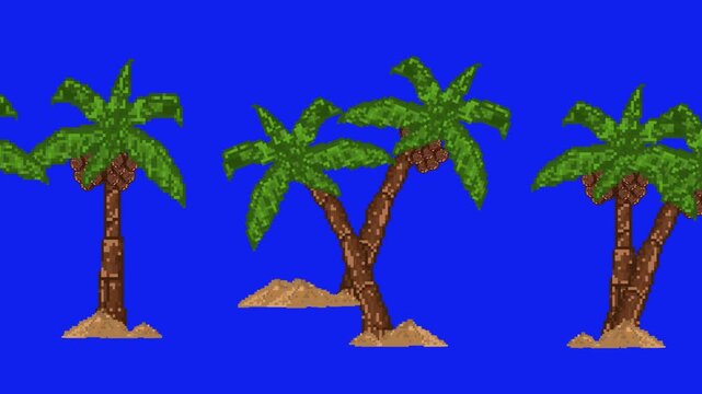Pixel art retro game asset animation of desert palm trees with coconuts, tropical plants isolated on blue screen background, 2D vector style, loop.