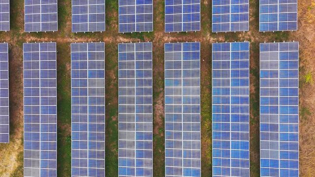 Aerial view of rows of solar panels installed in a field with palm trees in Malang, East Java, Indonesia.