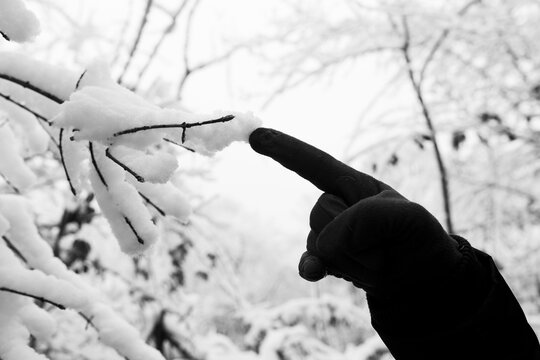 Touching Winter