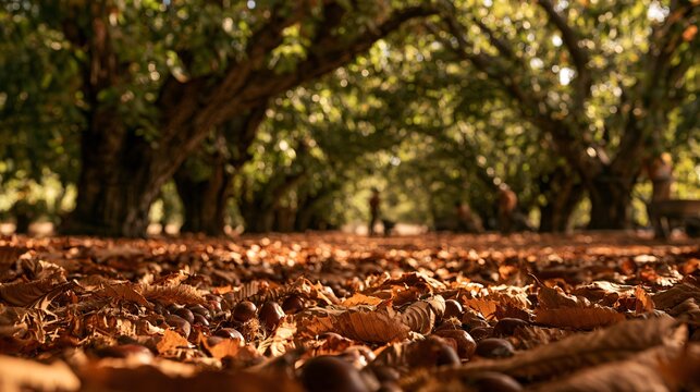 A low ground-level perspective follows a trail of chestnuts scattered beneath towering orchard trees, with copper leaves forming a textured carpet and distant workers appearing softly out of focus