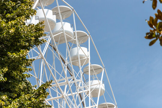 White Ferris Wheel in Summer