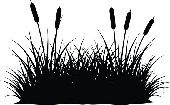 Grass and cattail silhouettes, wetland plants, swamp vegetation, nature vegetation graphic vector design