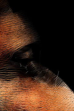 Sweeping Abstract Waves Emerging from Darkness