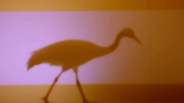 Heron Silhouette Walking Across a Warm Purple and Orange Illuminated Background
