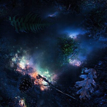 Fern frond and bioluminescent foxfire fungus glowing on a damp forest floor, with an oak leaf and pine cone for nature backgrounds