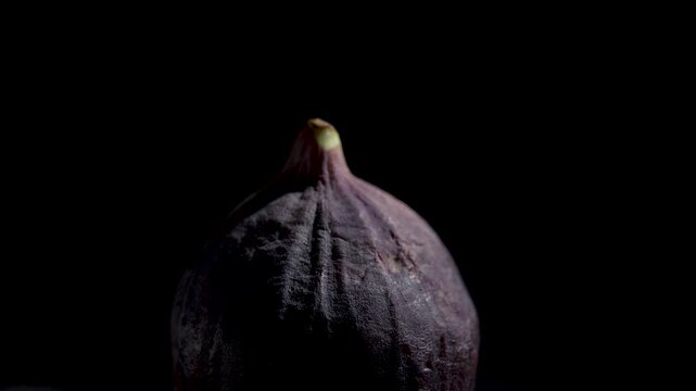 Close-up of the upper part of a whole fig with stem slowly rotating in dim side light against a black background.