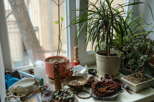 Still life with house plants and ritual items