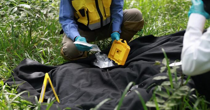 Forensic investigators in protective gloves collect evidence beside a covered body in tall grass at an outdoor crime scene.