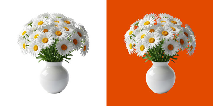 Beautiful white daisy flowers in a simple ceramic vase decor 3d