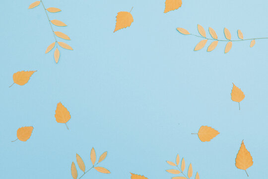 Autumn leaves and branches frame a blue background with elegant seasonal copy space.