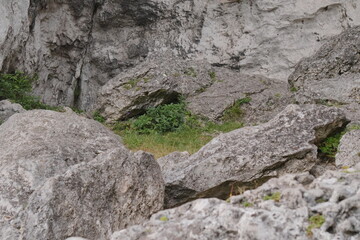 Rugged Grey Boulder Terrain with Green Grass and Vegetation Showing Natural Geological Formation and Earth S Surface Detail © lumerb