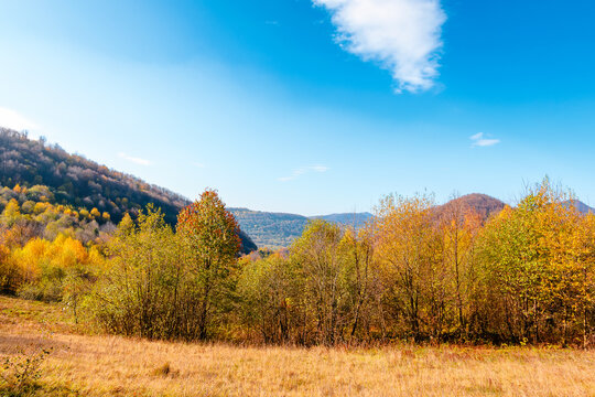 countryside landscape in mountains. beautiful view of carpathians with meadows rolling through forested hills. wonderful weather in autumn. deciduous trees in colorful foliage