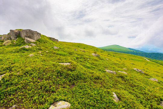 high Carpathian mountain summer landscape. meadow with huge stones among the grass on top of the hillside near the peak of mountain range. cloudy sky over alpine field