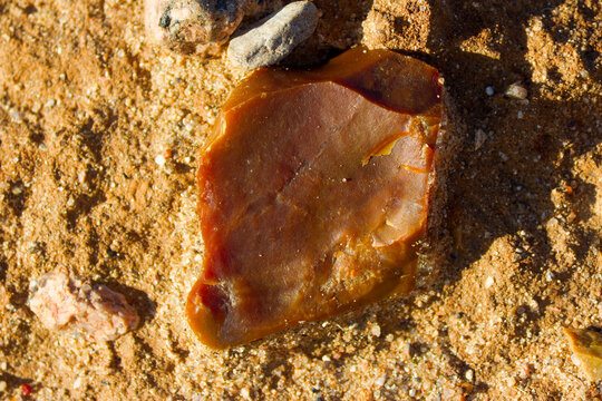 Brown flint stone fragment lying on golden sand, raw texture, close-up geological find for rockhounding enthusiasts in a sunny natural outdoor environment
